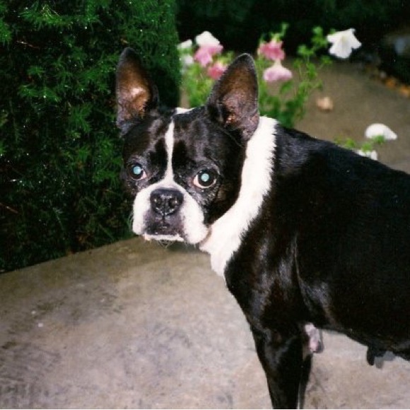 Meet your Posher, Marie - Picture 11 of 13